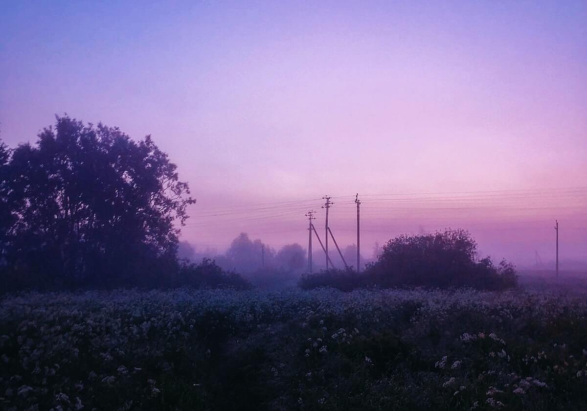 米乐下载：让你的娱乐生活更精彩